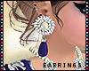 S|Blue White Earrings