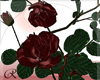 .R. Gothic  Roses