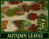 Autumn Leaves