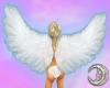 White Angel Wings V1