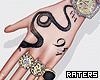 WATCH + RINGS.