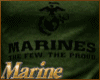M| Marines Shirt OD