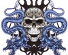 blue dragons with skull