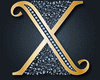 X SYSSI 1