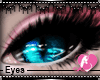 Bright Blue Cat Eyes