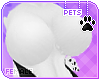 [Pets] Hana | busty top