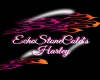 SC EchoStoneColds Harley