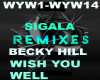 Remix Wish You Well