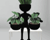 Planter Black