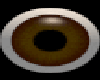 Animated Eye Ball