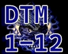 DTM  MIX PAT 1
