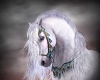 white stallion rug