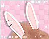 🐾 Bunny Ears Peach
