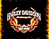 Harley Fire