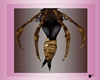 Arachnid tail M/F 