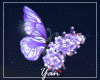 CJ Hair Butterfly Purple