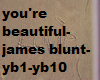 you're beautiful james b