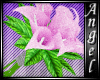 L$A Pink Lily Bouquet
