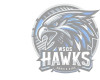 WSOS FB Jersey