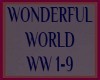 WONDERFUL WORLD