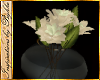 I~Night Gardenia Flowers