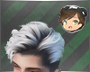 [JP] Gray hair