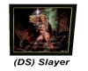 (DS) Slayer