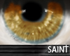 [SAINT] Harvest Eyes M