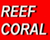PURPLE CORAL
