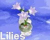 Elegant Lily in a Vase