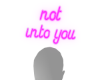 Neon | not into you