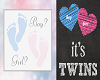 ~G~ Baby Gender Reveal T