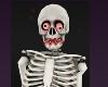 SKELETON