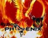 [PR] Ryzing Phoenix Flag