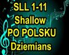 Shallow PO POLSKU