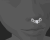 Animated Septum