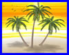 Palm Trees Summer