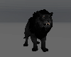 Black Lion