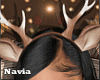 Deer Antlers