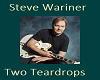 Steve Wariner