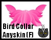Anyskin Bird Collar (F)
