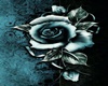Silver Rose