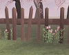 ROSES FENCE