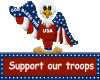 Support OUr Troops Eagle