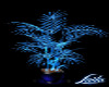 Blue Glow dragon Plant