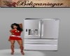 Anns stainless fridge