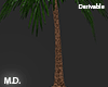 Palm Tree Dev,