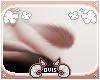 ⍥ | Ovis Brows M