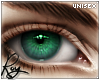                Eren Eyes