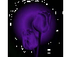 Purple Tulips